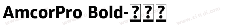 AmcorPro Bold字体转换
